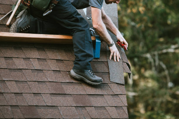Best Roof Gutter Cleaning  in Bear Valley Springs, CA